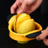 Stainless Steel Kitchen Handle Mango Dicer Cutter Peeler