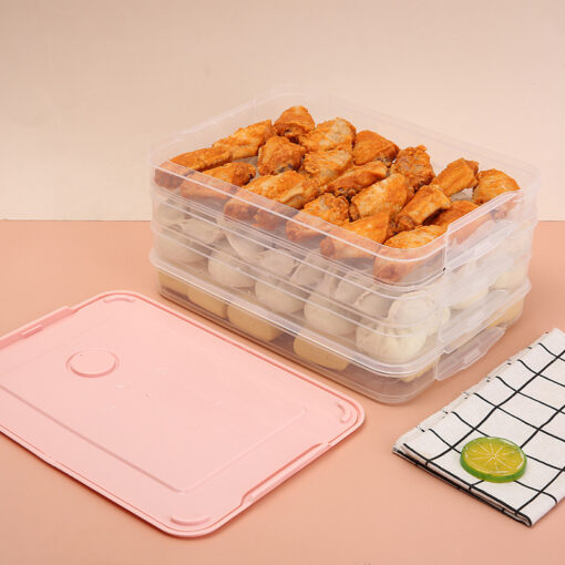 Portable Transparent Kitchen Dumpling Food Storage Box