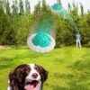 Multifunctional Sounding Flying Disc Teether Ball Pet Toy
