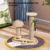 Interactive Solid Wood Cat Turntable Scratching Post Toy