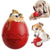 Interactive Egg-shaped Bite-resistant Food Feeder Pet Toy