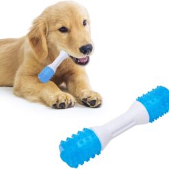 Interactive Aqua Bone Puppy Teething Dental Chew Toy