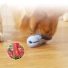 Interactive Peanut-shaped Molar Teeth Cleaning Dog Toy