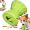 Interactive Leaked Dumbbells Treat Dispensing Chew Dog Toy