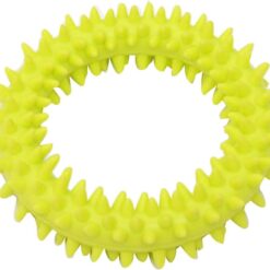 TPR Spiky Circle Ring Dog Bite-Training Chew Toy