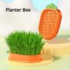 Carrot Design Cat Grass Growth Kit Planting Tray