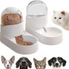 Transparent Automatic Cat Food Water Water Dispenser Bowl