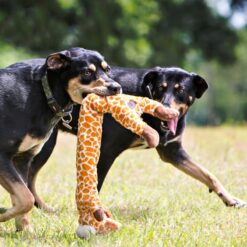 Interactive Bite-resistant Molar Pet Sounding Chew Toy