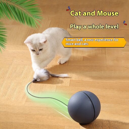 Interactive Automatic Electric Cat Teasing Ball Toy