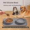 Creative Silicone Double Pet Drinking Feeding Bowl