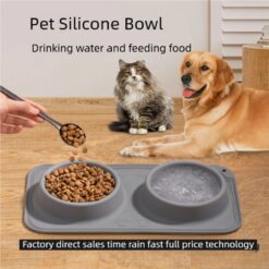 Creative Silicone Double Pet Drinking Feeding Bowl