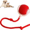 Interactive 360 Smart Automatic Rolling Pet Ball Toy