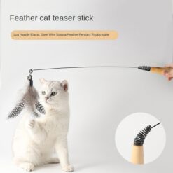 Interactive Wooden Handle Spring Cat Teasing Stick Toy