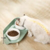 Pet Protect Cervical Dog Drinker Food Tilted Double Bowl