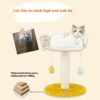 Integrated Cat Climbing Hanging Dangling Balls Frame