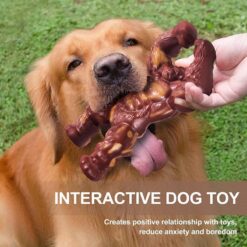 Interactive Molar Nibbling Nylon Beef Flavor Chewer Toy