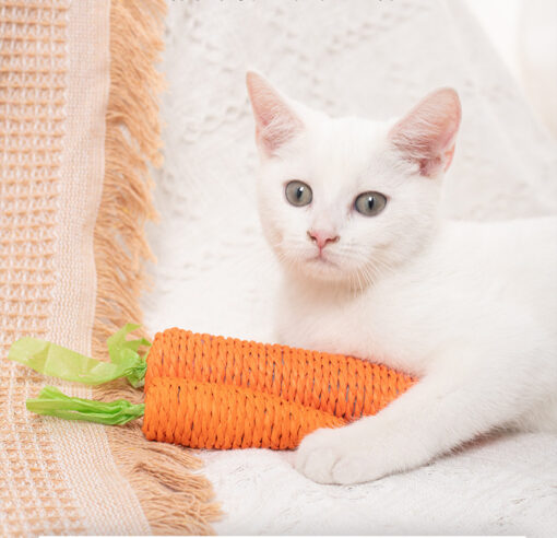 Interactive Cat Sticks Self-Hi Tooth Grinding Carrot Bites Toy