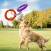 Interactive Floating Water Dog Flying Disk Training Ring Toy