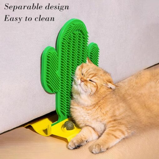 Cactus Self Groomer Balls Corner Hair Brush Scratching Pad