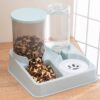 Automatic Transparent Pet Food Feeder Water Dispenser