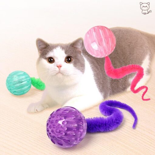 Interactive Cat Worm Bouncy Balls Indoor Toy