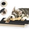 Interactive Dog Nail Grinder Scratch Board Pad