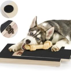 Interactive Dog Nail Grinder Scratch Board Pad