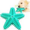 Interactive Tooth Cleaning Chew Starfish Squeaky Toy