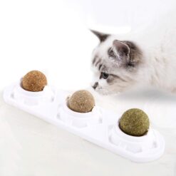 Interactive Cat Wall-mounted Self-hey Molar Catnip Toy