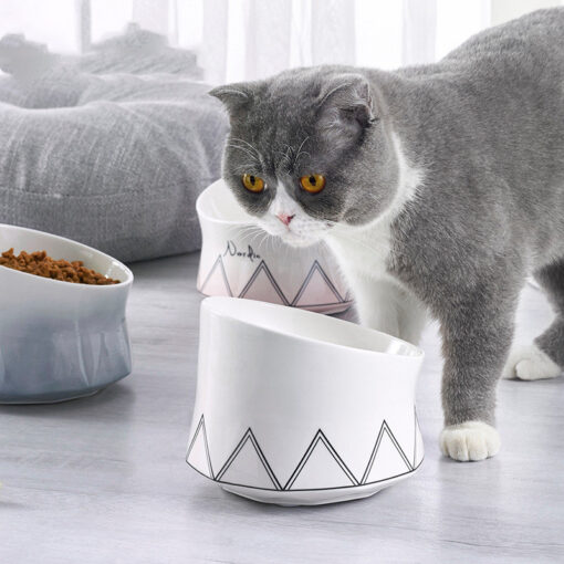 High Temperature Ceramic Pet Food Feeder Bowl