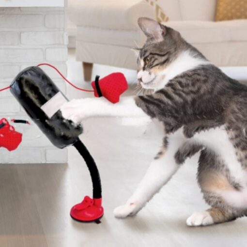 Interactive Suction Cup Boxing Game Cat Teaser Toy